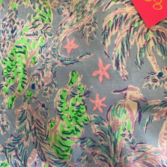 Lilly Pulitzer dress - Picture 2 of 4